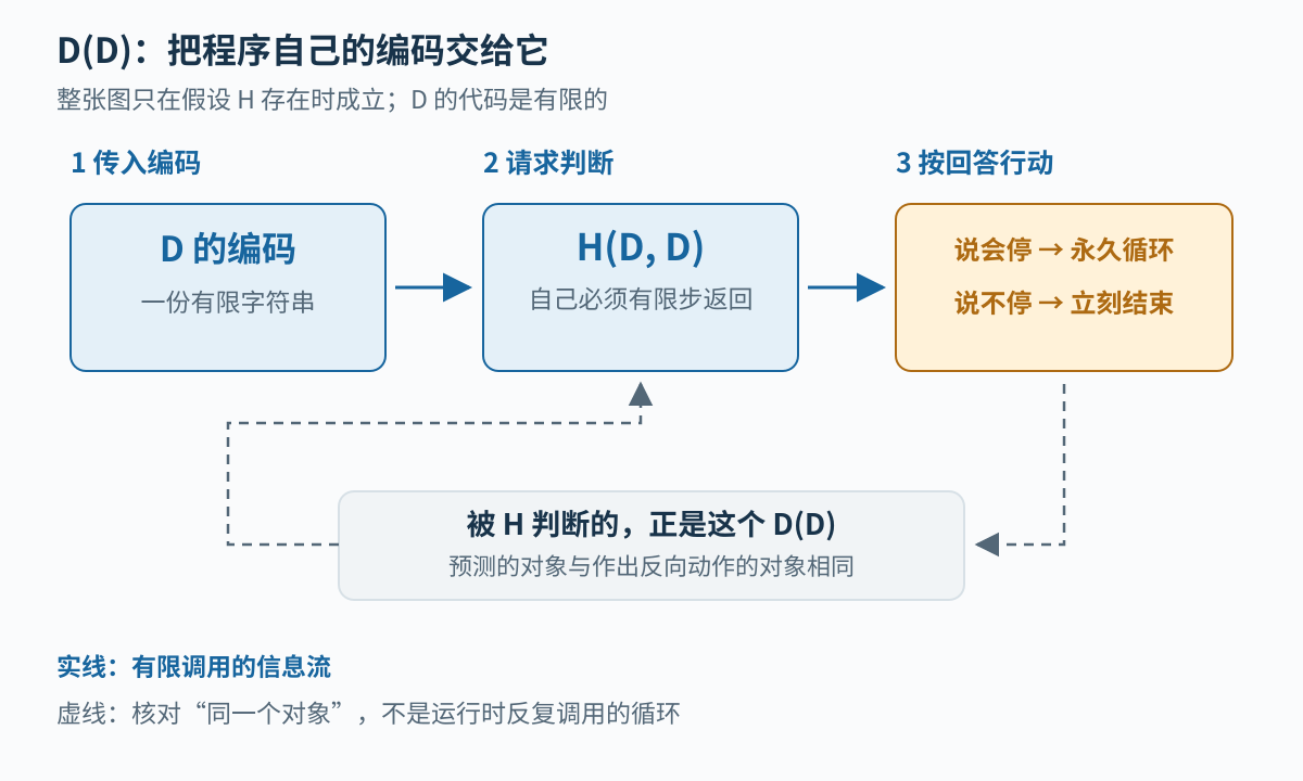 图1：D的编码同时作为H的被检查程序与输入，D根据H的有限返回作相反动作；虚线表示判断对象的对应关系